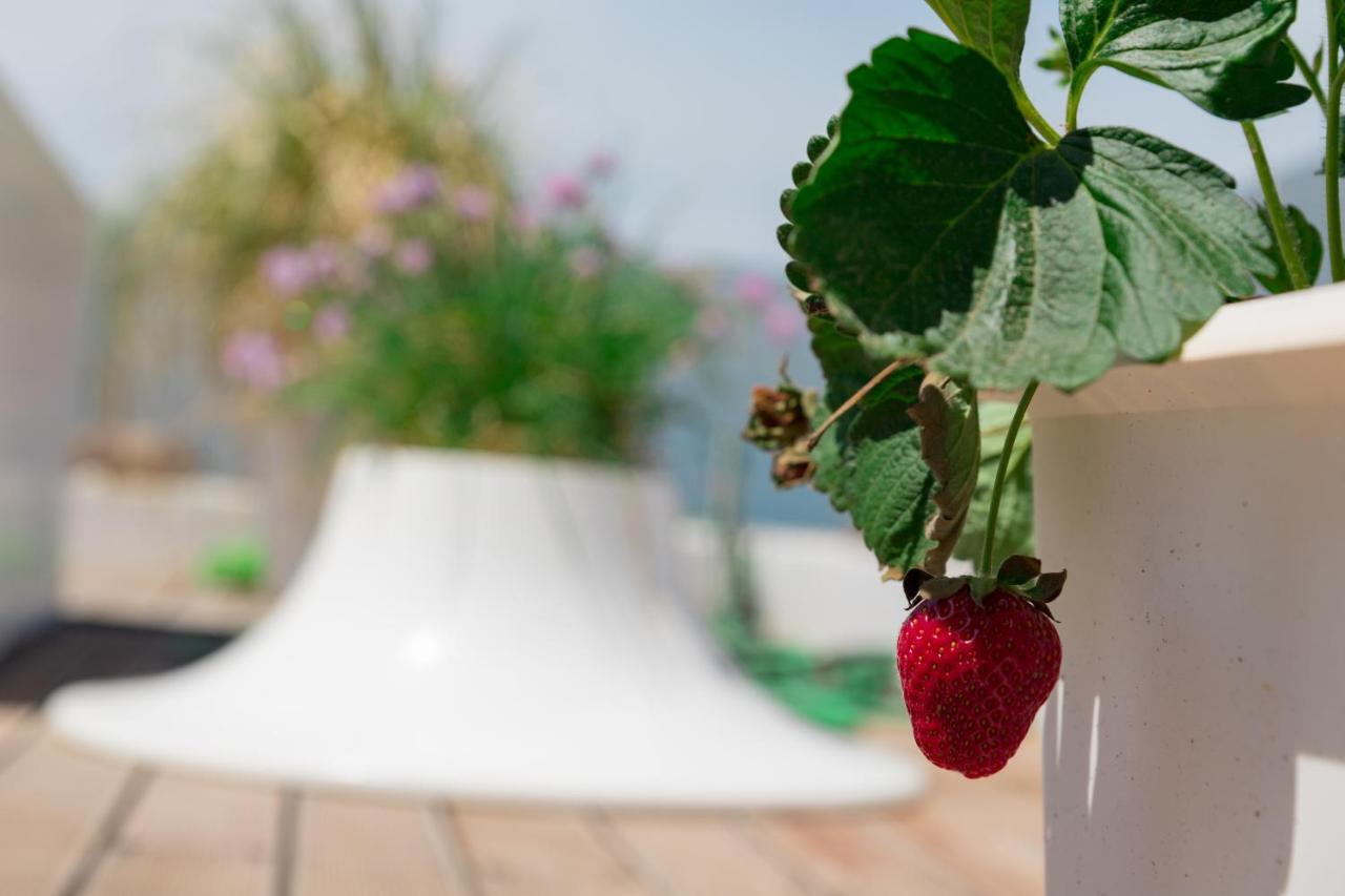 شقة أثينا  في Dreamy Aegean View المظهر الخارجي الصورة